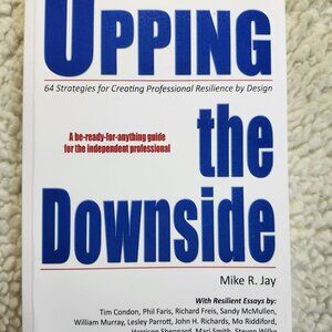 Upping the Downside Mike R. Jay Paperback 2008 Professional Resilience Guide